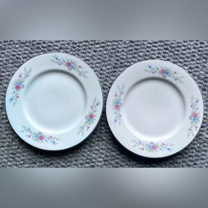 Like new: 2 FLORENTEEN Fine China FANTASIA 6-1/2” Bread Dessert Plates 6.3/8"